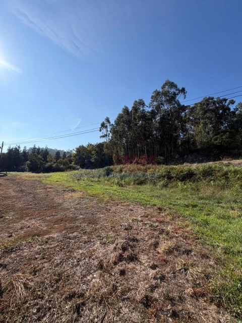 Terreno para Venda em Rebordões