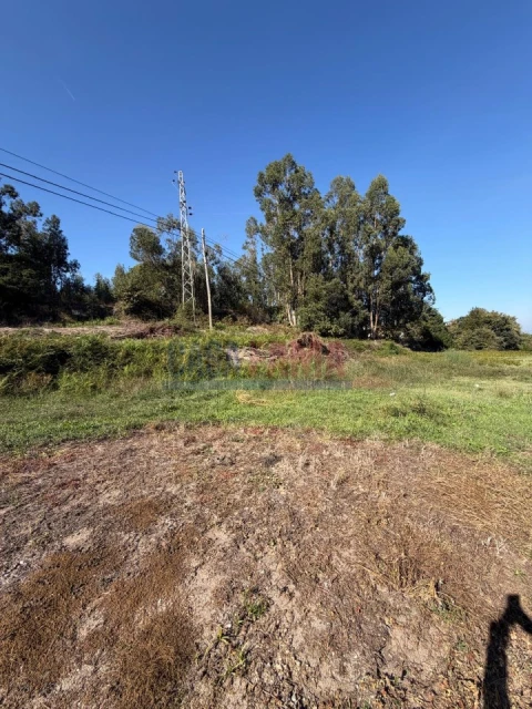 Terreno para Venda em Rebordões