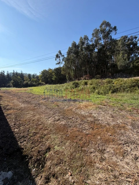 Terreno para Venda em Rebordões