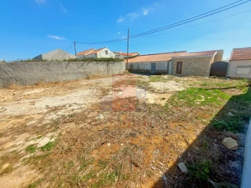 Terreno para Venda em Santa Maria, São Pedro e Sobral da Lagoa