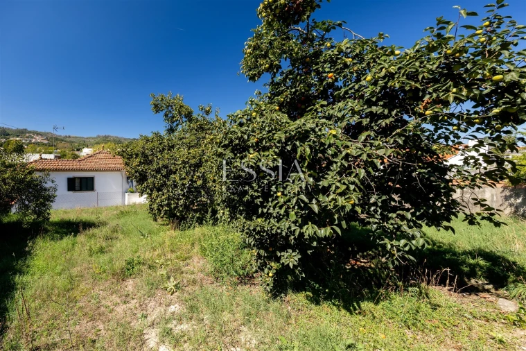 Moradia T3 para Venda em Termas de São Vicente Foto 4