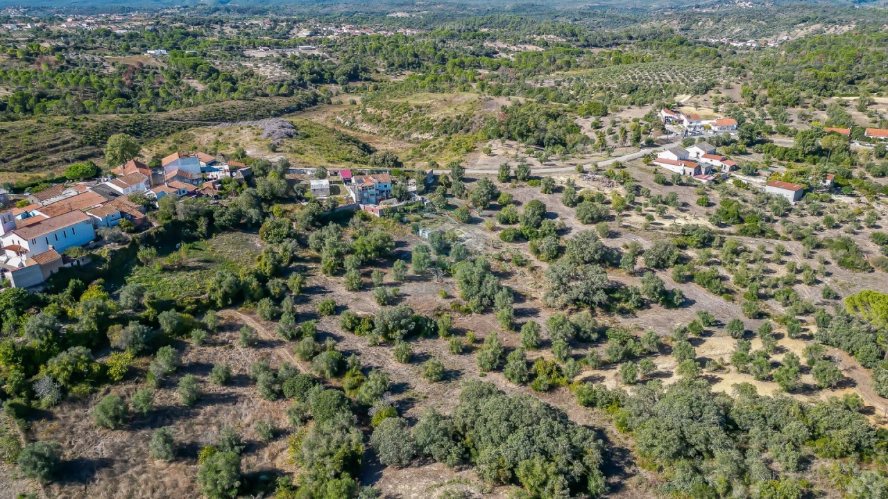 Terreno Agricola ou Rústico para Venda em Assentiz Foto 7