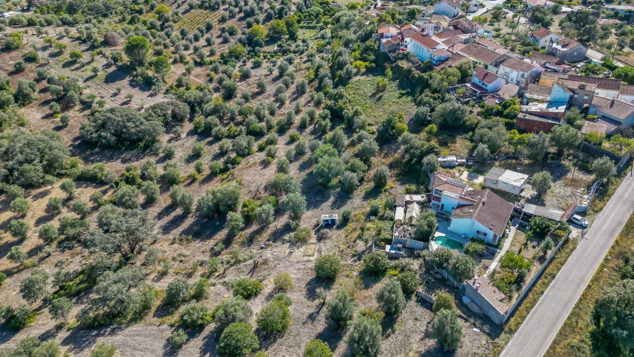 Terreno Agricola ou Rústico para Venda em Assentiz Foto 8