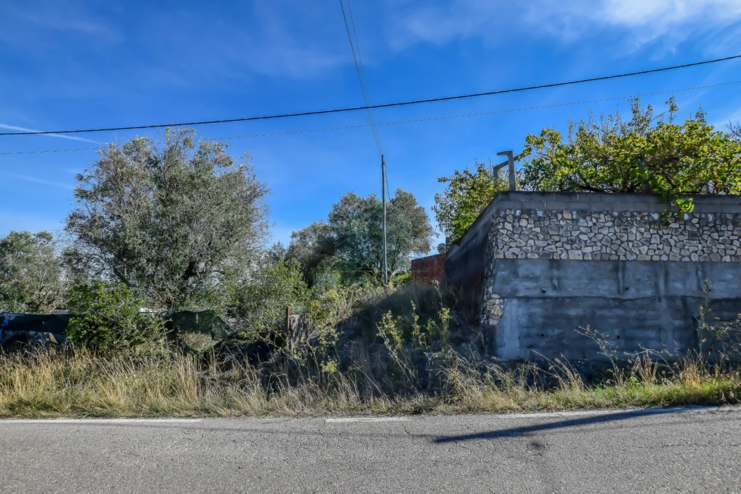Terreno Agricola ou Rústico para Venda em Assentiz Foto 11