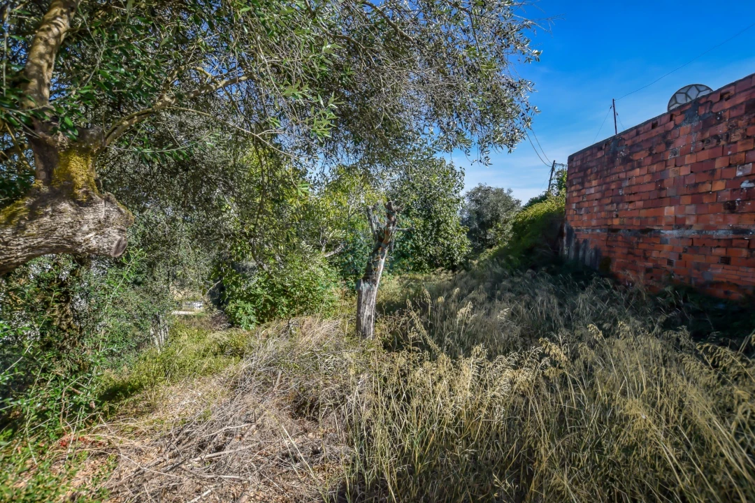 Terreno Agricola ou Rústico para Venda em Assentiz Foto 12
