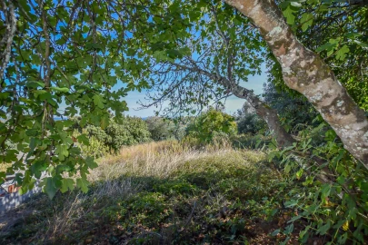 Terreno Agricola ou Rústico para Venda em Assentiz