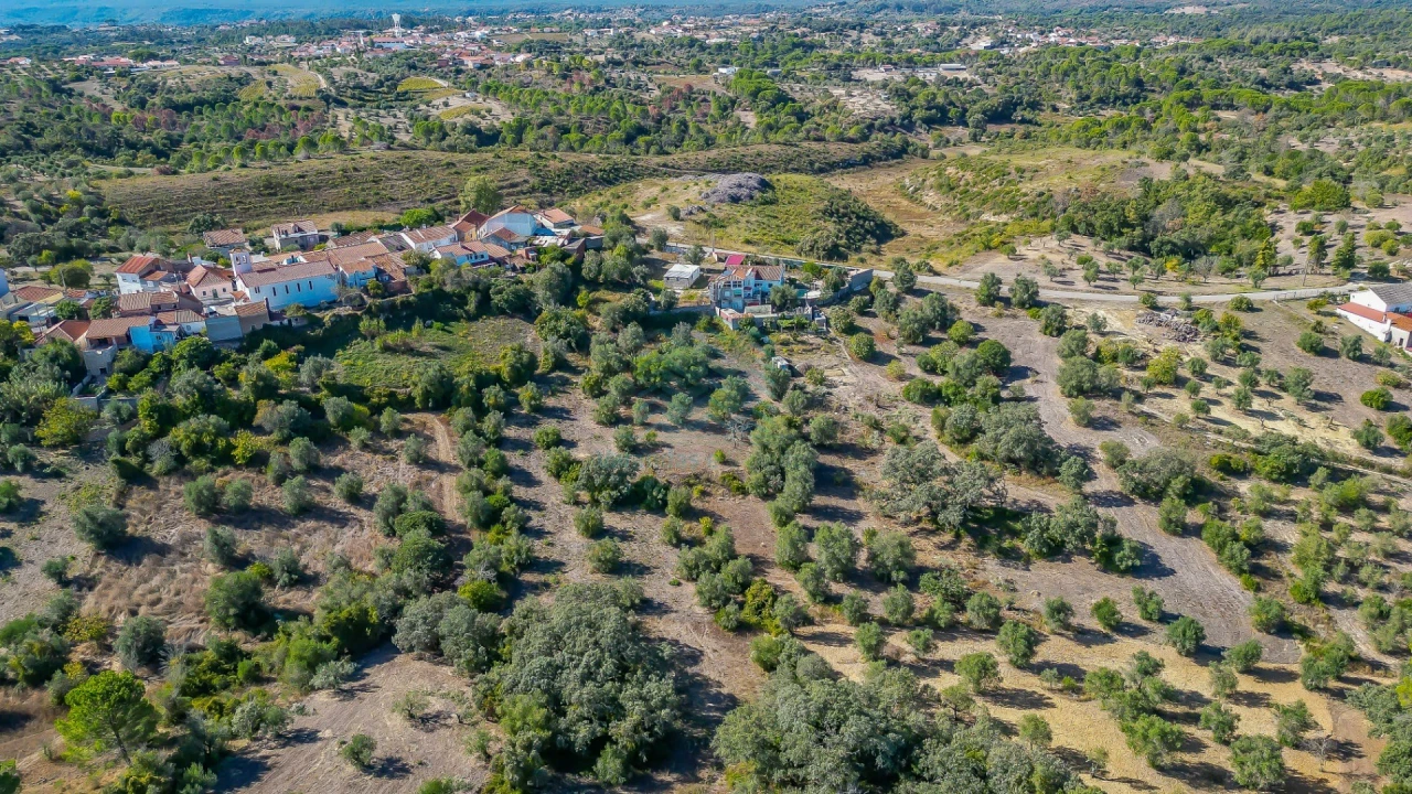 Terreno Agricola ou Rústico para Venda em Assentiz Foto 6