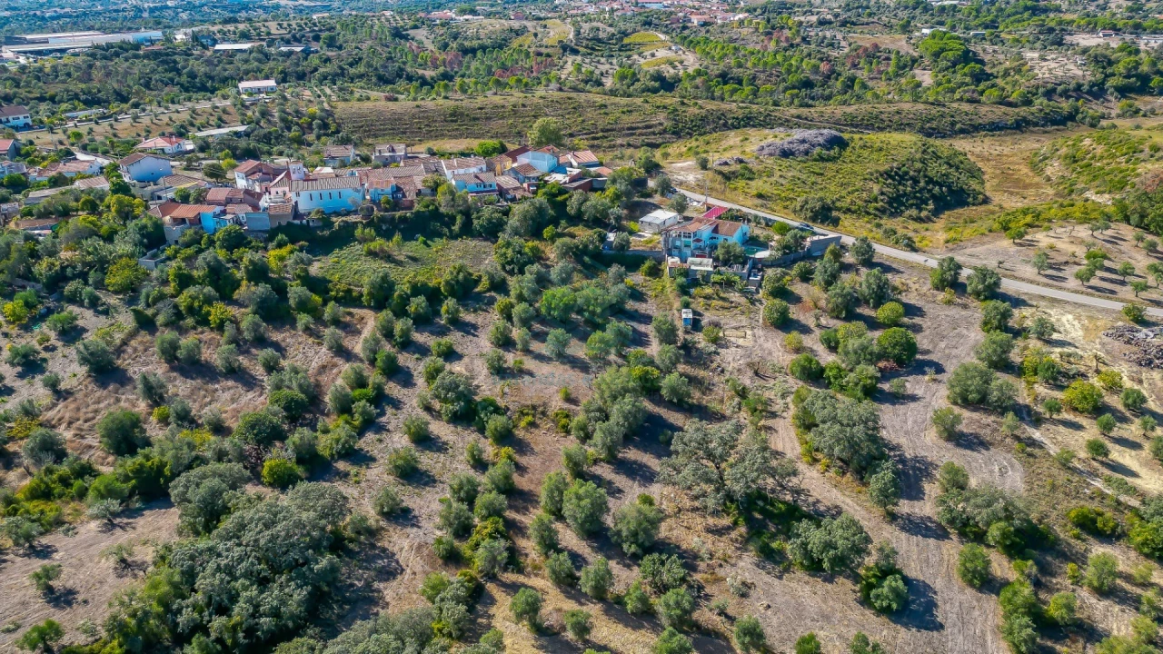 Terreno Agricola ou Rústico para Venda em Assentiz Foto 4