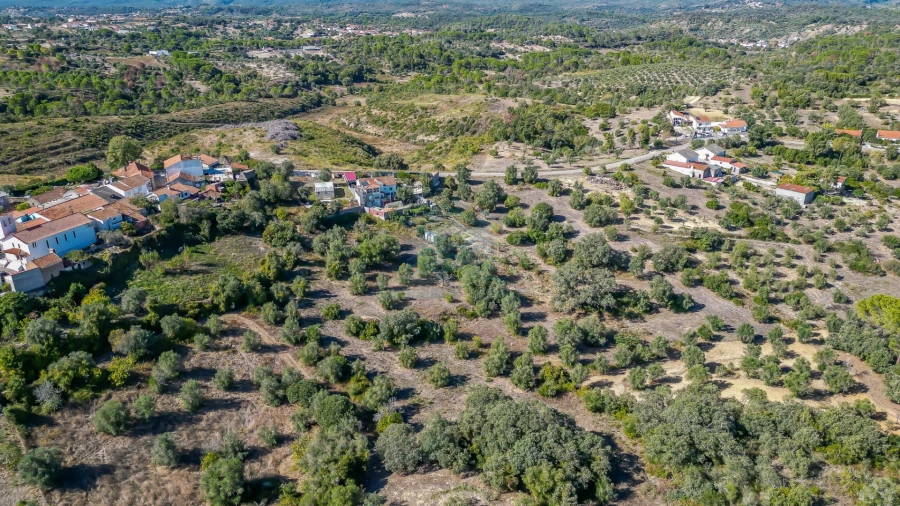 Terreno Agricola ou Rústico para Venda em Assentiz Foto 7