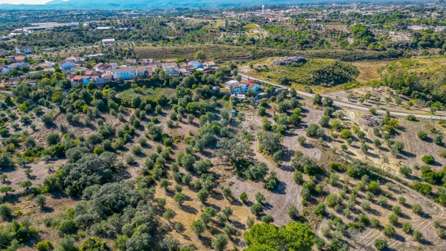 Terreno Agricola ou Rústico para Venda em Assentiz Foto 5