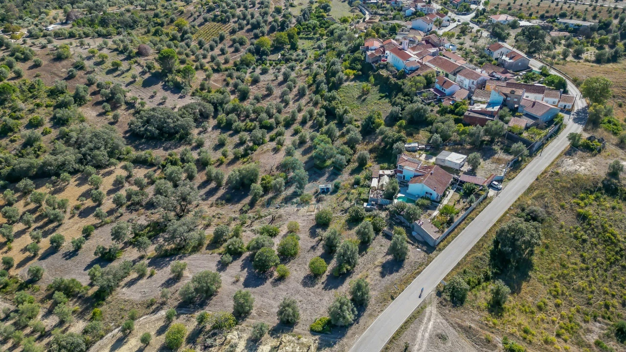 Terreno Agricola ou Rústico para Venda em Assentiz Foto 9