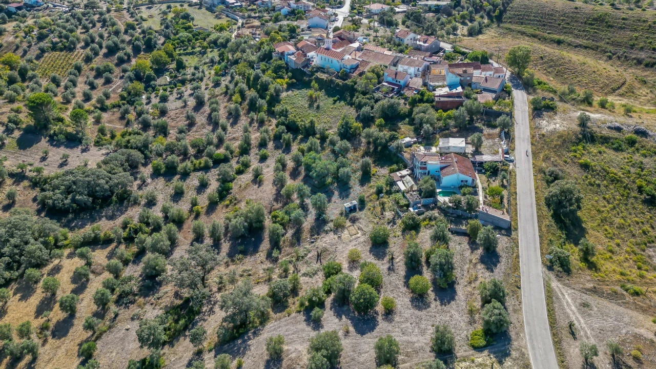 Terreno Agricola ou Rústico para Venda em Assentiz Foto 10