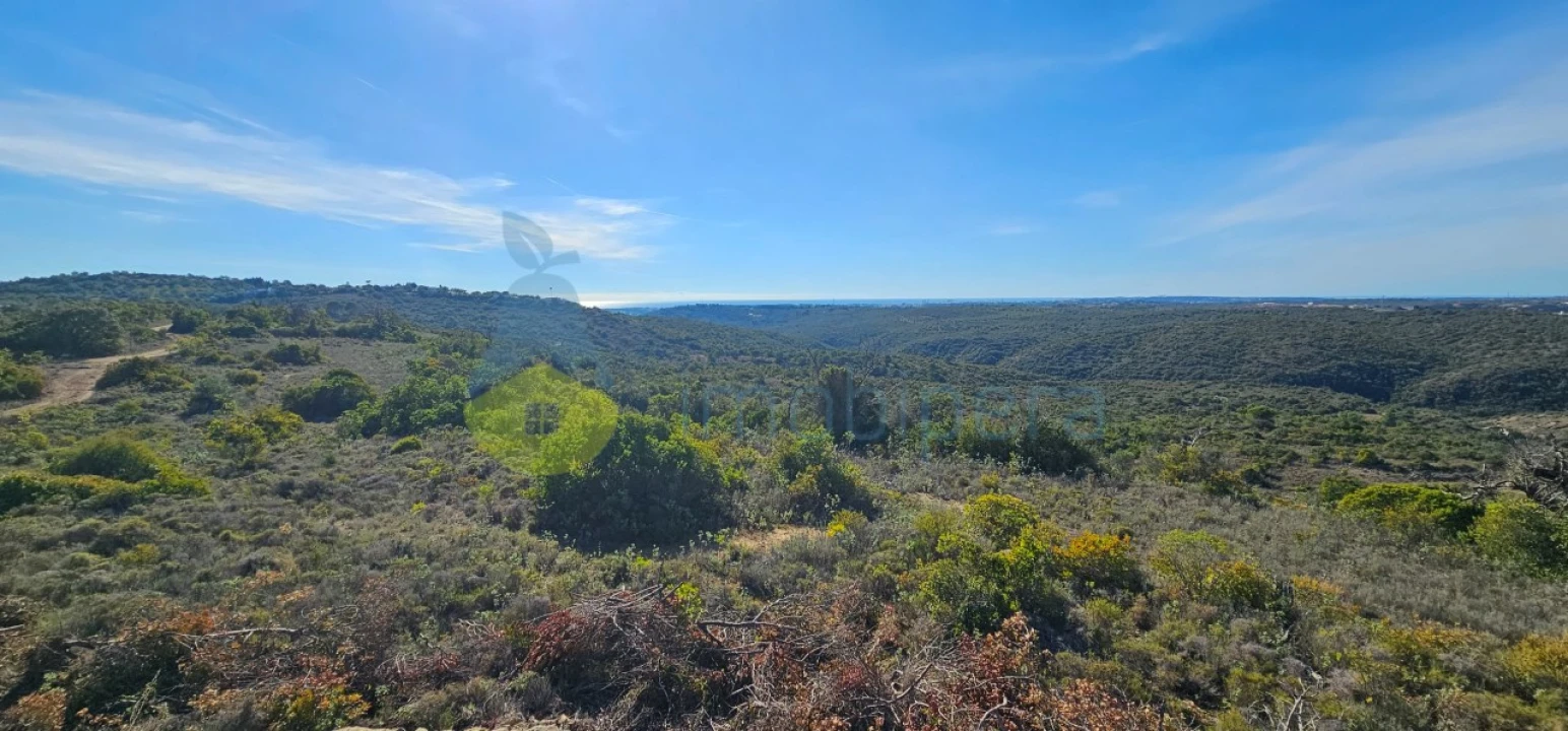 Terreno Agricola ou Rústico para Venda em Paderne Foto 1