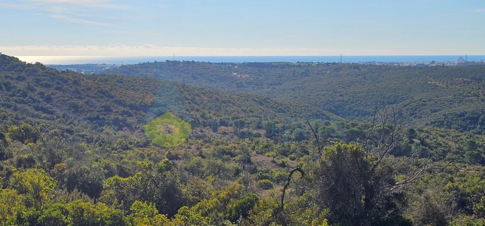 Terreno Agricola ou Rústico para Venda em Paderne Foto 2