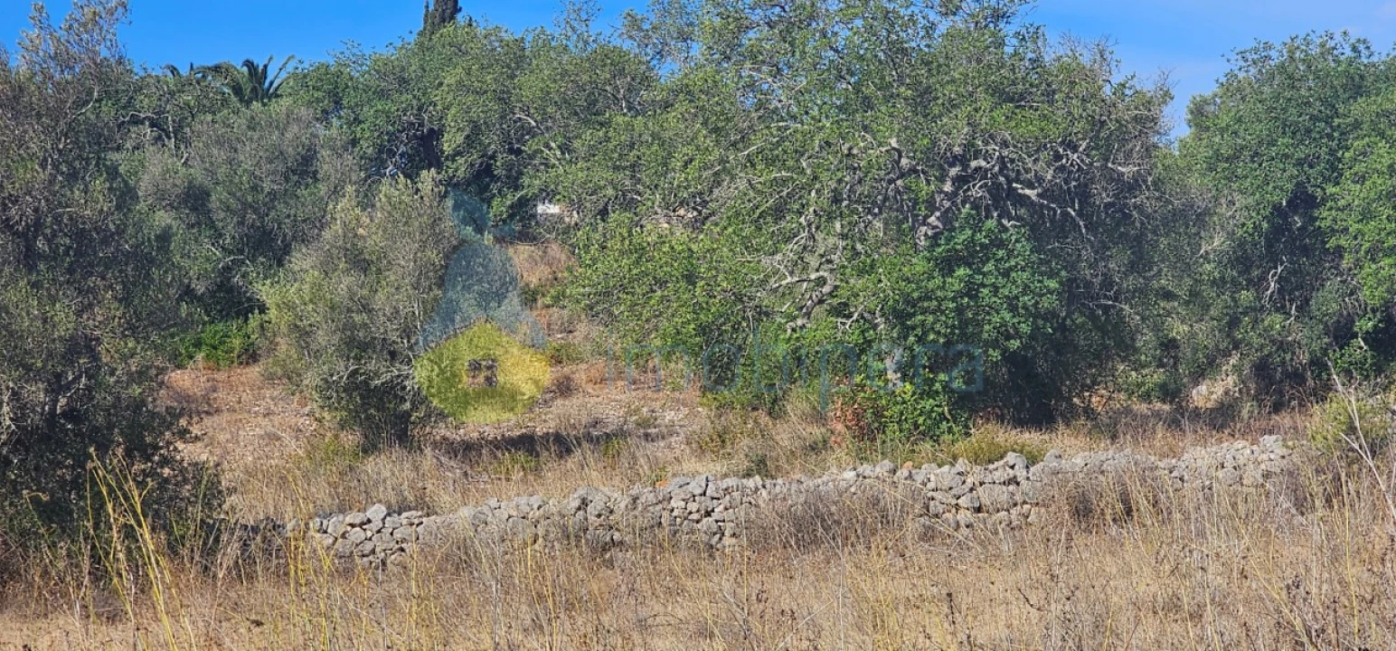 Terreno Agricola ou Rústico para Venda em Paderne Foto 3