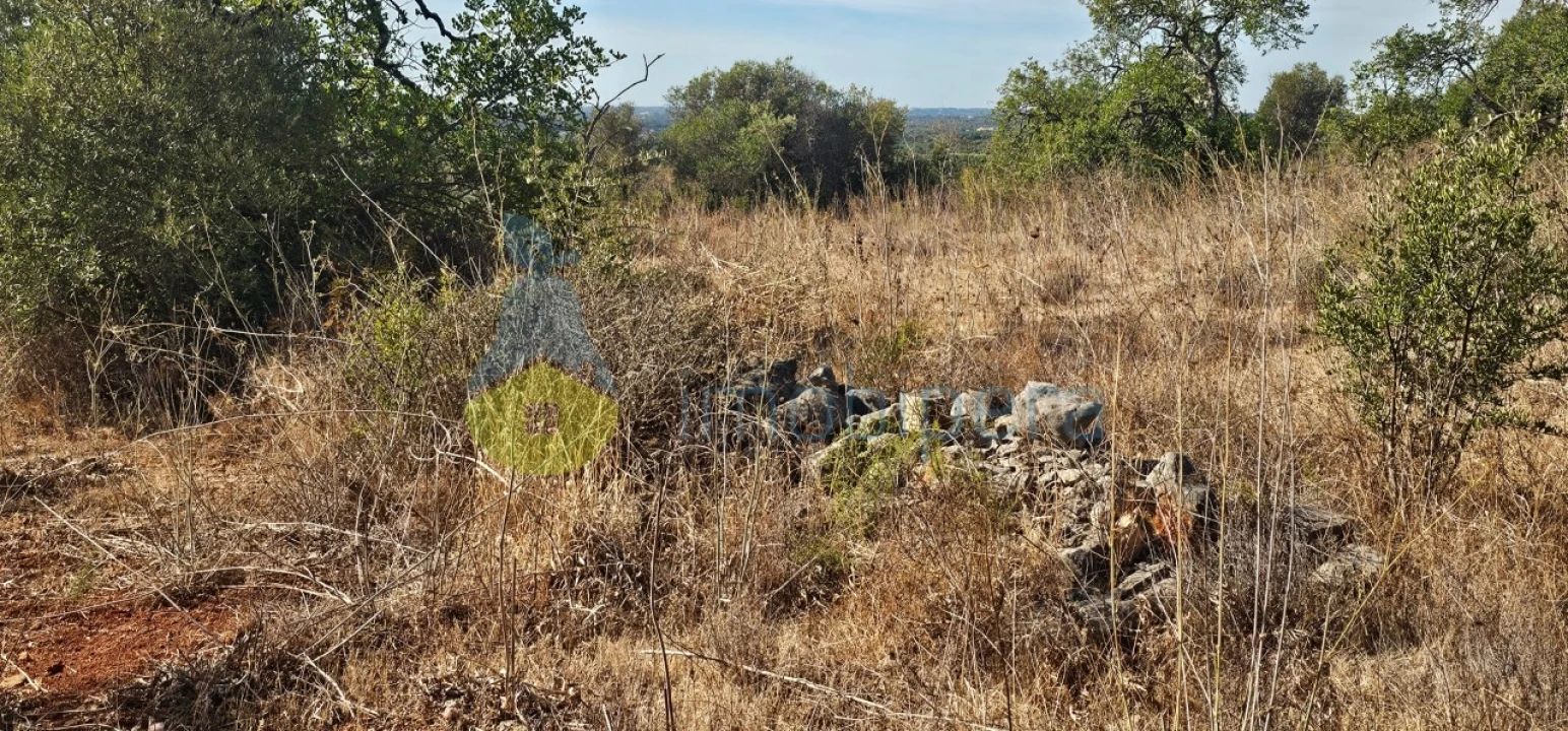 Terreno Agricola ou Rústico para Venda em Paderne Foto 4