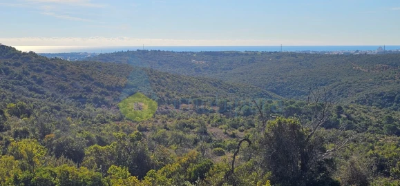 Terreno Agricola ou Rústico para Venda em Paderne