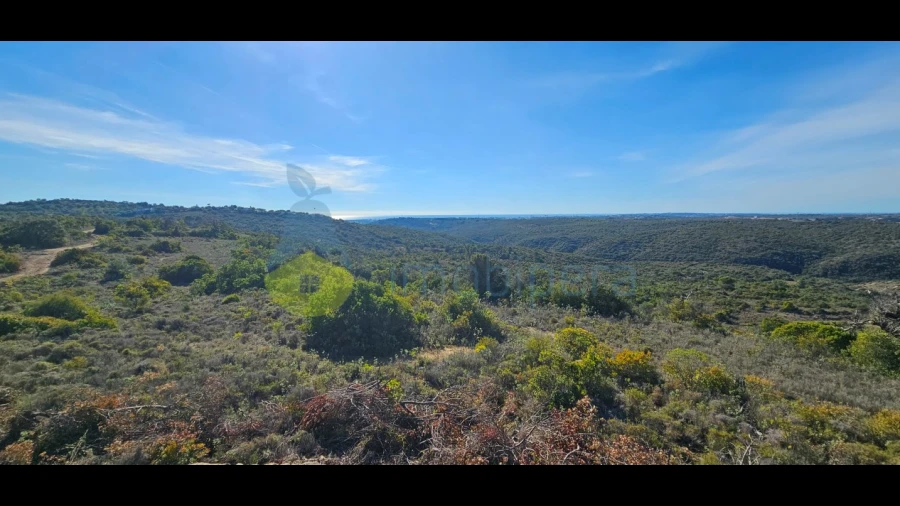 Terreno Agricola ou Rústico para Venda em Paderne