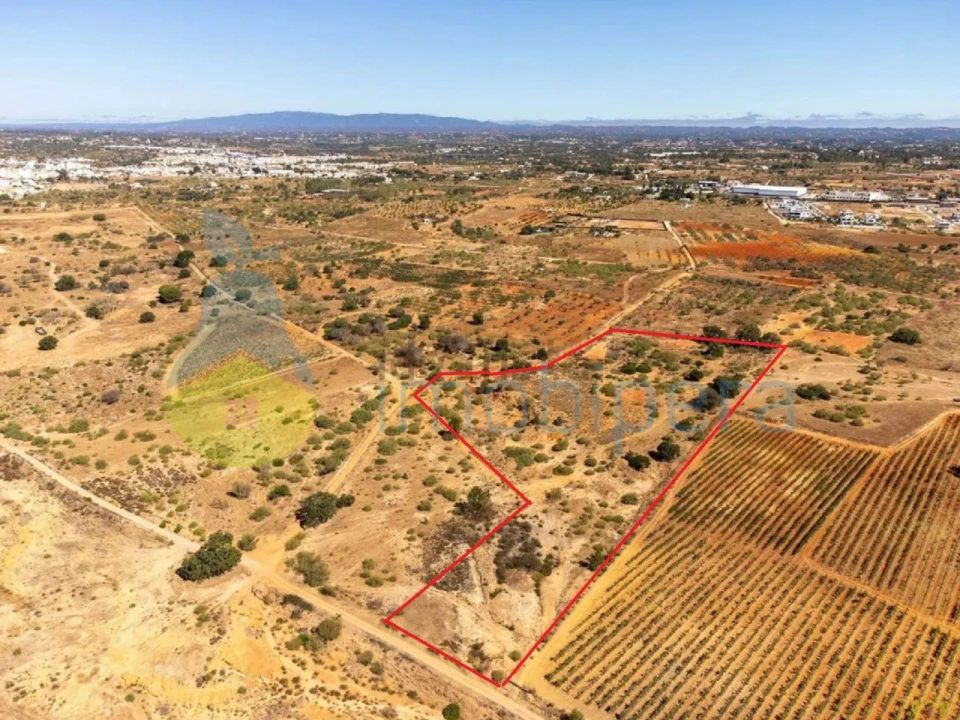 Terreno Agricola ou Rústico para Venda em Alcantarilha e Pêra Foto 2