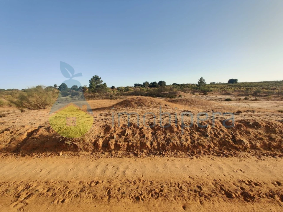 Terreno Agricola ou Rústico para Venda em Alcantarilha e Pêra Foto 7