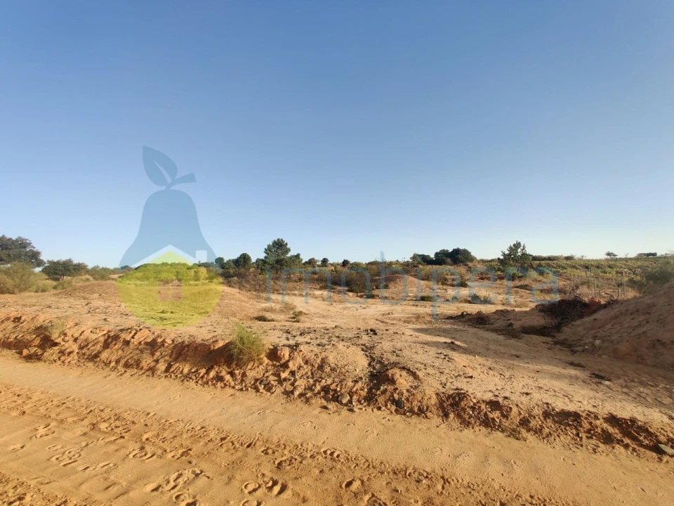 Terreno Agricola ou Rústico para Venda em Alcantarilha e Pêra Foto 8