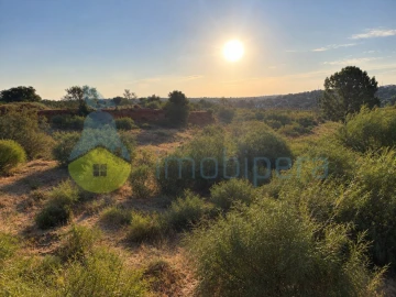 Terreno Agricola ou Rústico para Venda em Alcantarilha e Pêra
