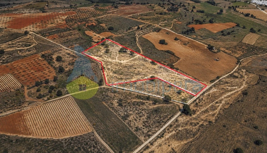 Terreno Agricola ou Rústico para Venda em Alcantarilha e Pêra Foto 3