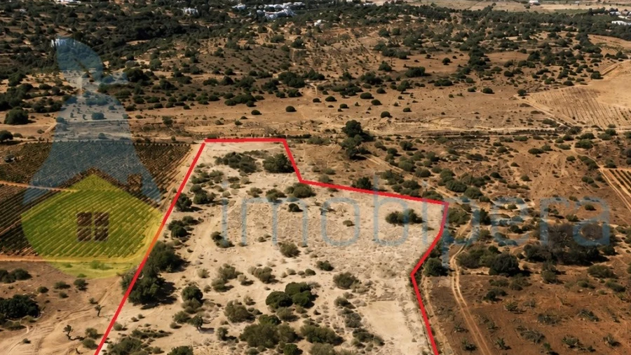 Terreno Agricola ou Rústico para Venda em Alcantarilha e Pêra