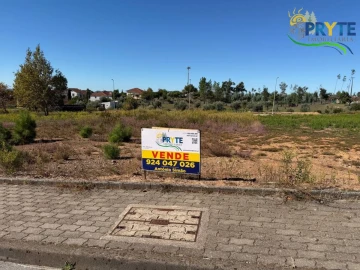 Terreno para Venda em Cernache do Bonjardim, Nesperal e Palhais