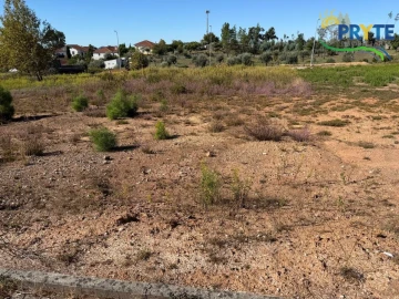 Terreno para Venda em Cernache do Bonjardim, Nesperal e Palhais