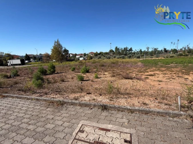 Terreno para Venda em Cernache do Bonjardim, Nesperal e Palhais Foto 4