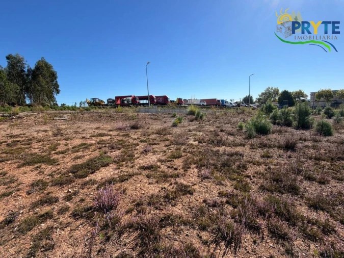 Terreno para Venda em Cernache do Bonjardim, Nesperal e Palhais Foto 5
