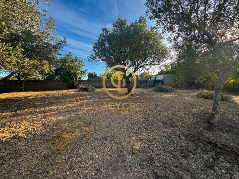 Terreno para Venda em Loule (São Clemente) Foto 8
