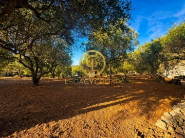 Terreno para Venda em Loule (São Clemente)