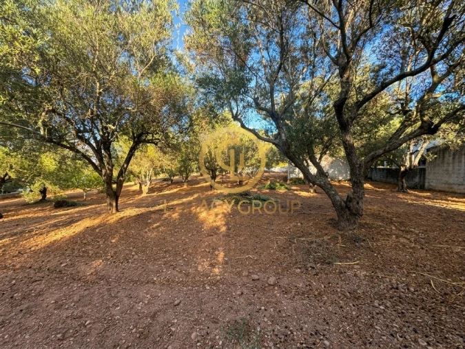 Terreno para Venda em Loule (São Clemente) Foto 6