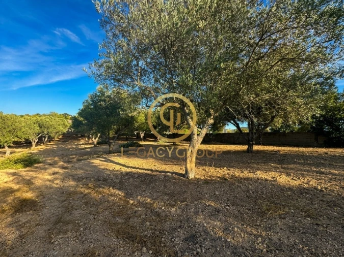 Terreno para Venda em Loule (São Clemente) Foto 7