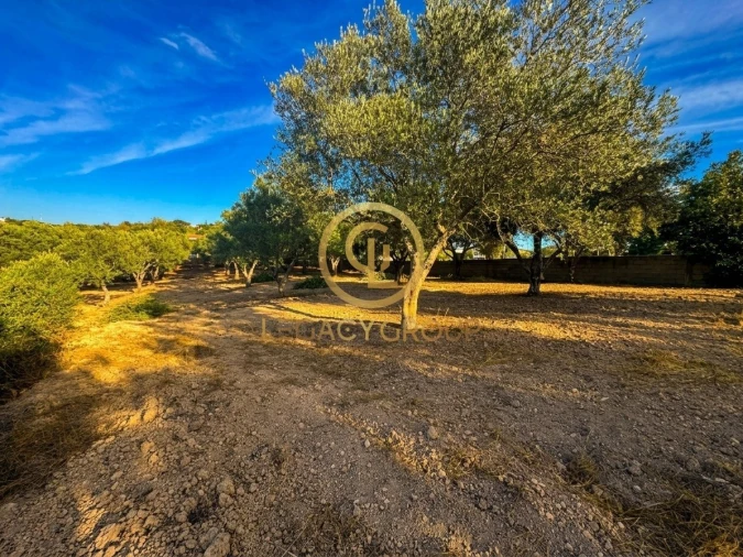 Terreno para Venda em Loule (São Clemente) Foto 3