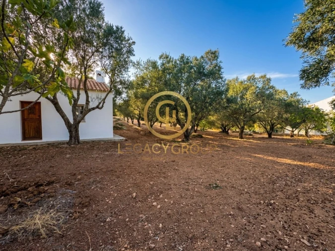 Terreno para Venda em Loule (São Clemente) Foto 15