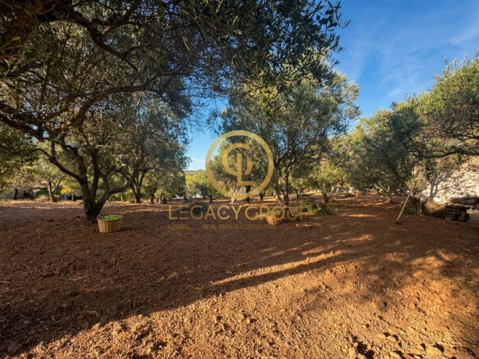 Terreno para Venda em Loule (São Clemente) Foto 5