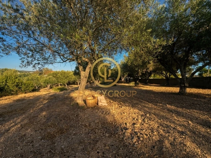 Terreno para Venda em Loule (São Clemente) Foto 9