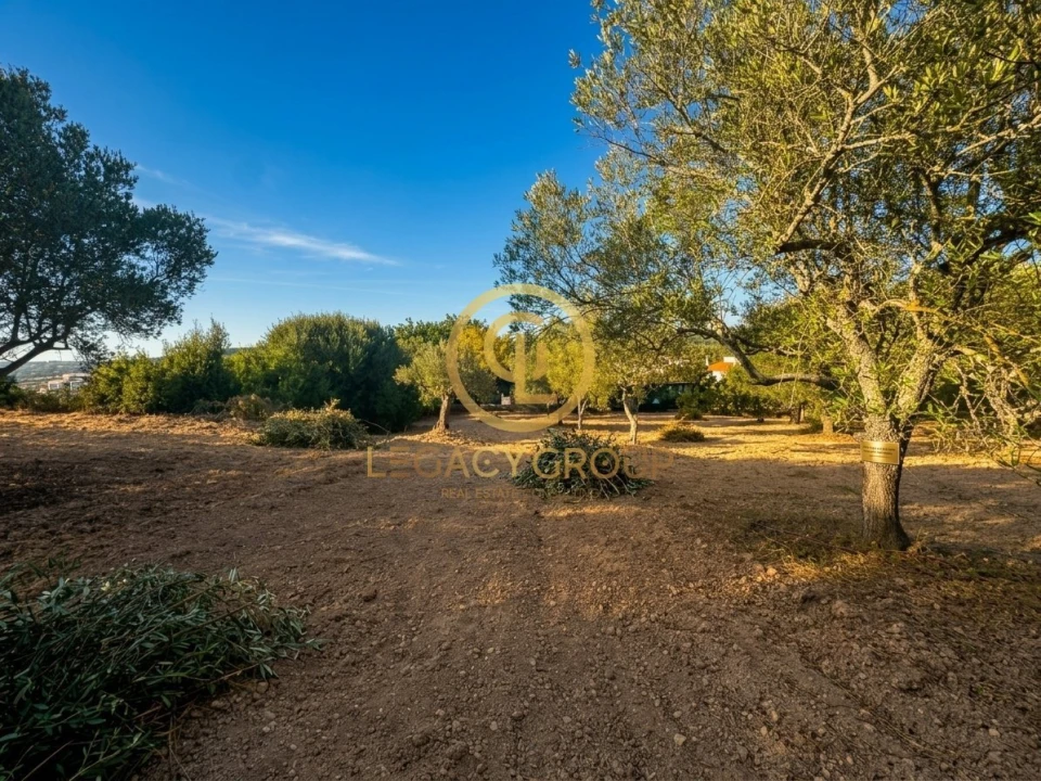 Terreno para Venda em Loule (São Clemente) Foto 12