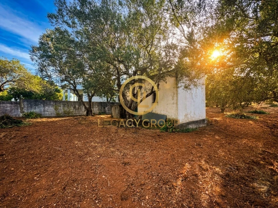 Terreno para Venda em Loule (São Clemente) Foto 1