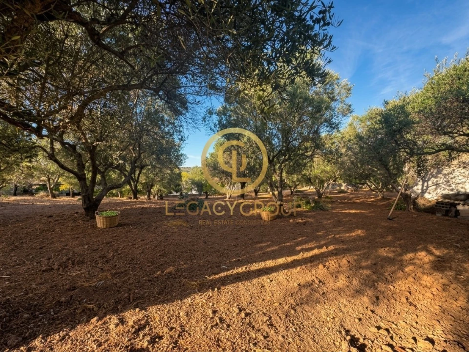 Terreno para Venda em Loule (São Clemente) Foto 5