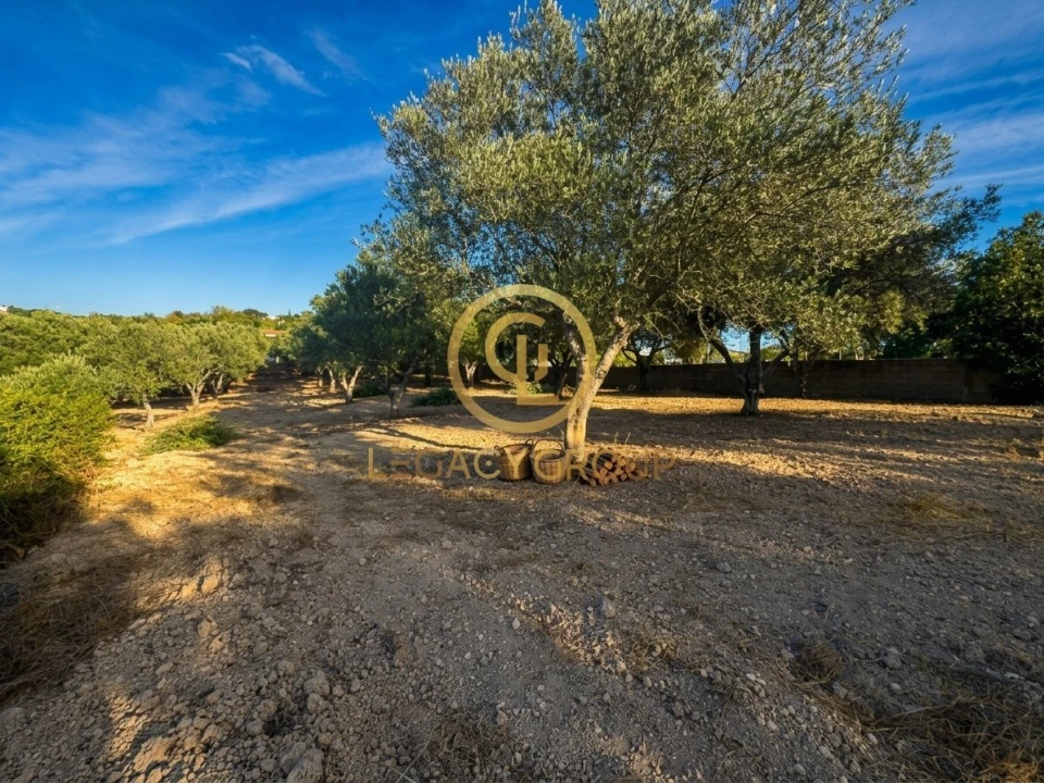 Terreno para Venda em Loule (São Clemente) Foto 11