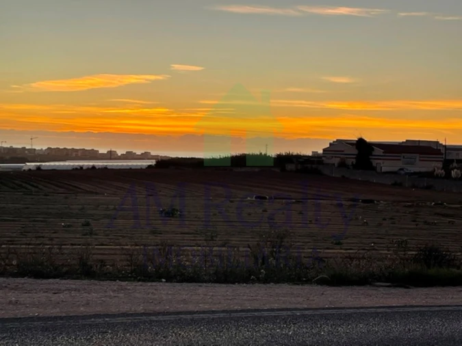 Terreno Agricola ou Rústico para Venda em Atouguia da Baleia Foto 2