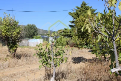 Moradia T4 para Venda em Santa Barbara de Nexe