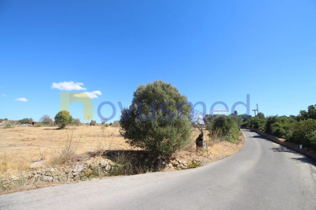 Terreno Agricola ou Rústico para Venda em Ferreiras Foto 5