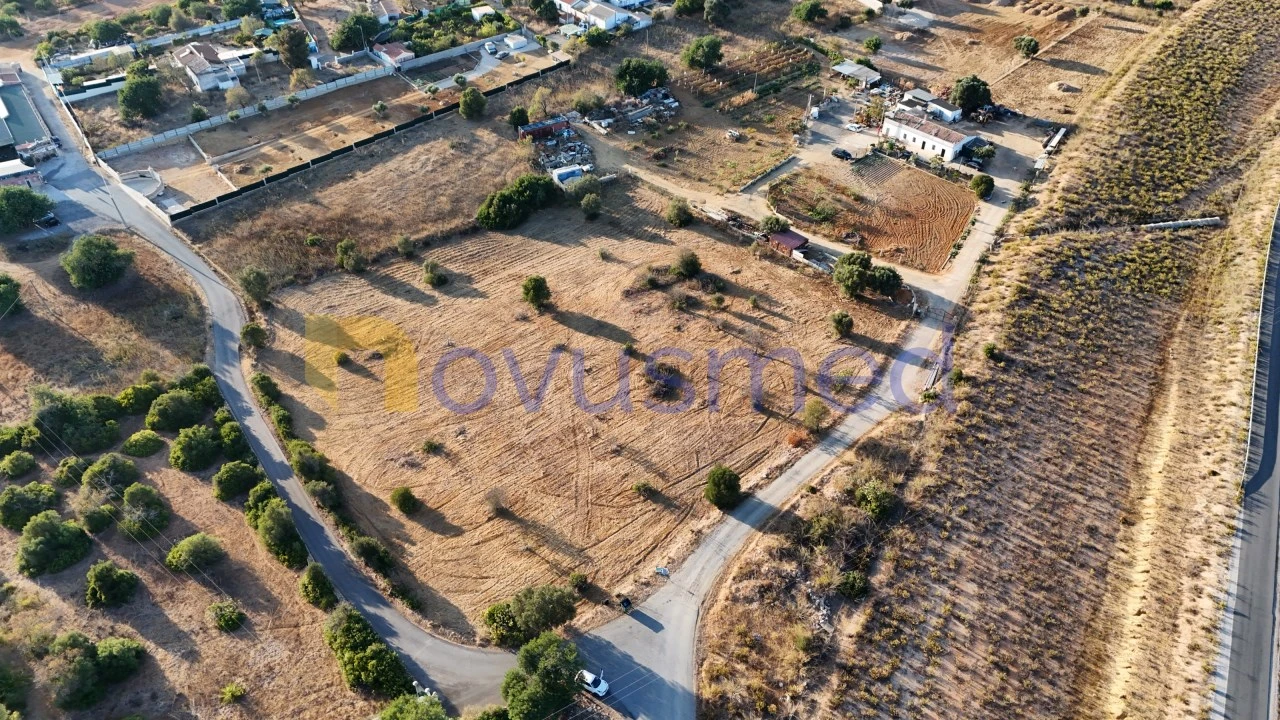 Terreno Agricola ou Rústico para Venda em Ferreiras Foto 9