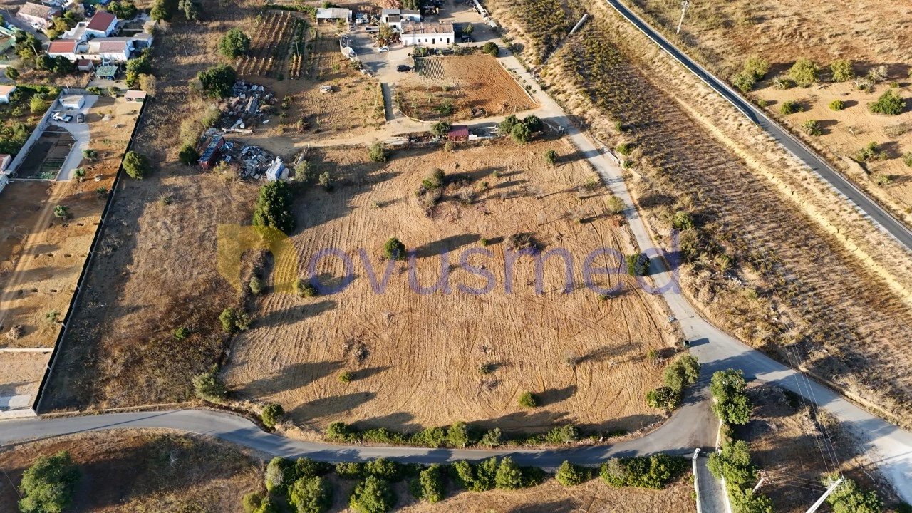 Terreno Agricola ou Rústico para Venda em Ferreiras Foto 10