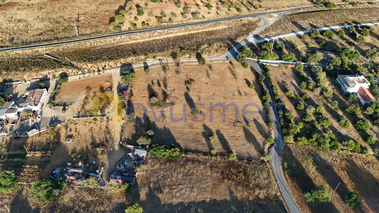 Terreno Agricola ou Rústico para Venda em Ferreiras Foto 12